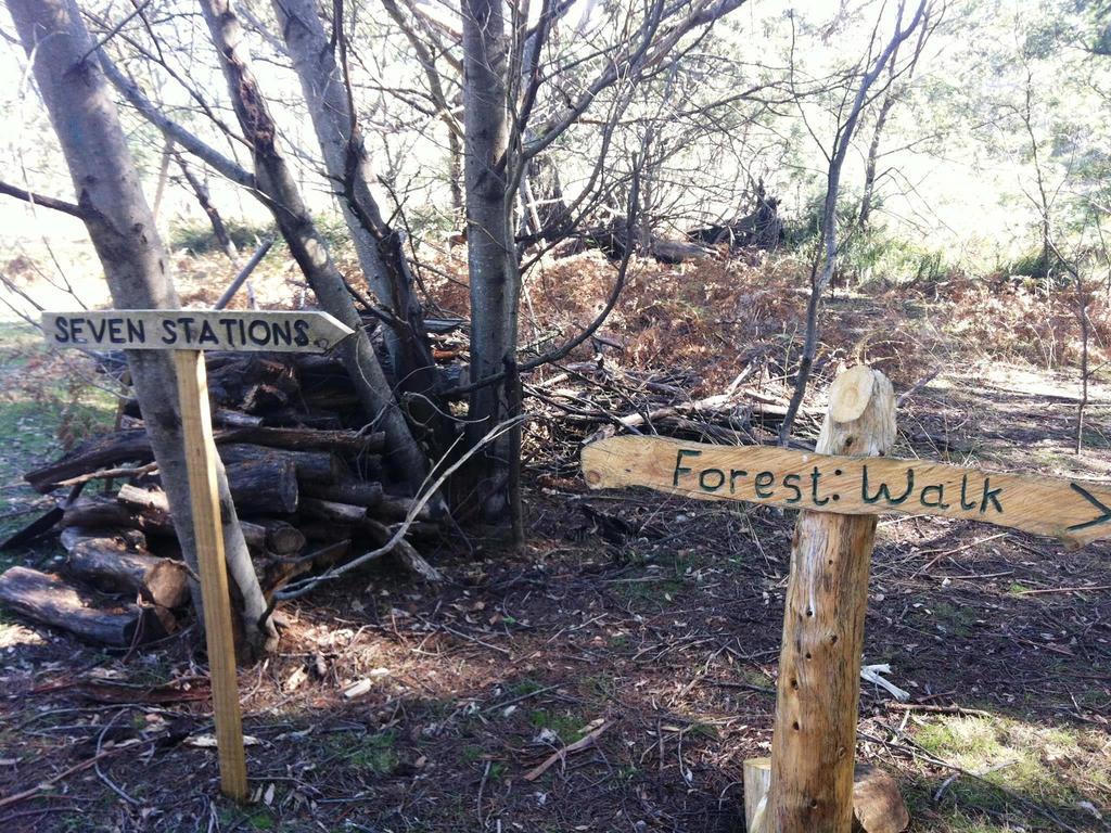 Wind Song Bed & Breakfast Little Swanport Εξωτερικό φωτογραφία
